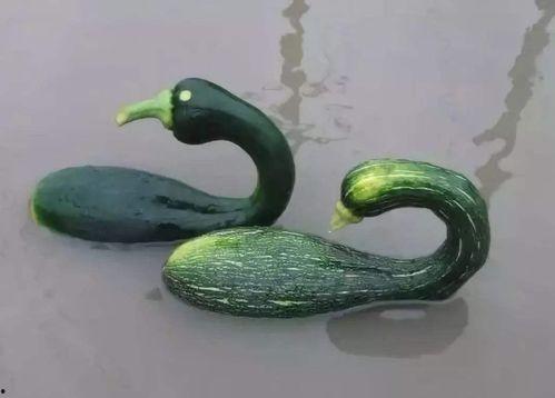 徐州吃瓜网红是谁啊视频,揭秘幕后故事  第2张