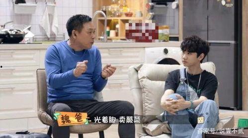 魏大勋老家爆料视频,童年趣事与家乡情怀